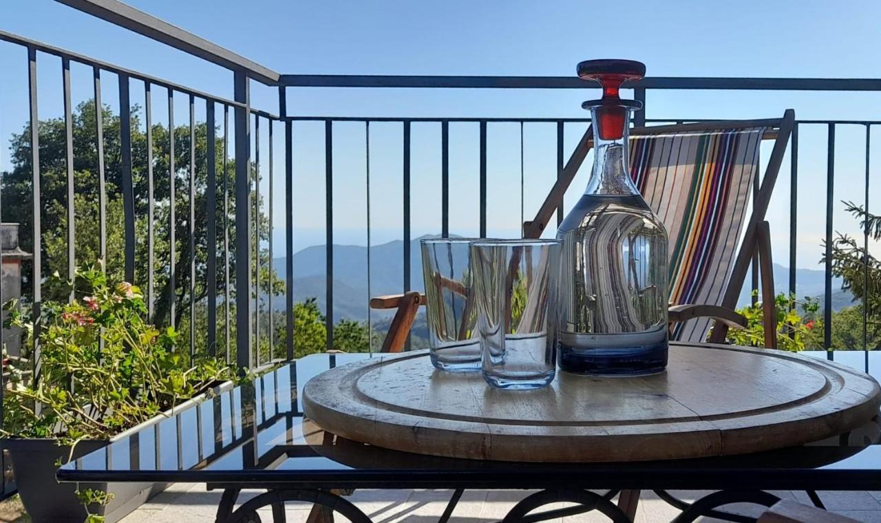 Bed And Breakfast Humus Sapiens Castiglione Chiavarese 外观 照片